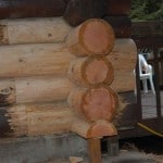 Dsc D | Log Home Restoration | Builder | Repair | West Coast Restoration