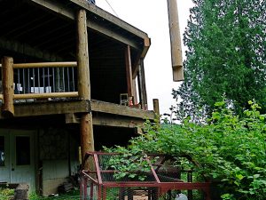 Dsc | Log Home Restoration | Builder | Repair | West Coast Restoration