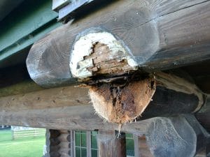 Dsc | Log Home Restoration | Builder | Repair | West Coast Restoration