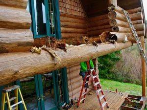 Dsc | Log Home Restoration | Builder | Repair | West Coast Restoration