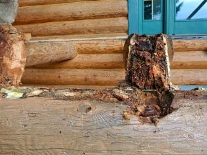 Dsc | Log Home Restoration | Builder | Repair | West Coast Restoration